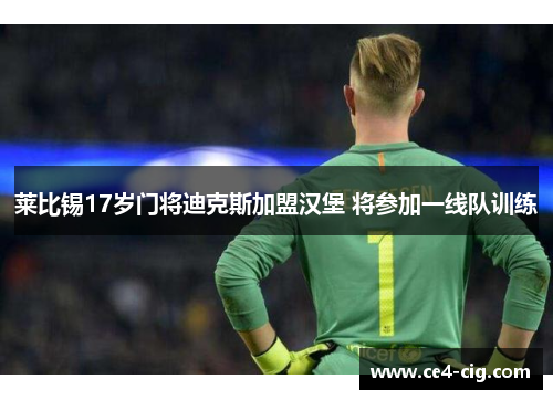 莱比锡17岁门将迪克斯加盟汉堡 将参加一线队训练 莱比锡17岁门将迪克斯加盟汉堡 将参加一线队训练